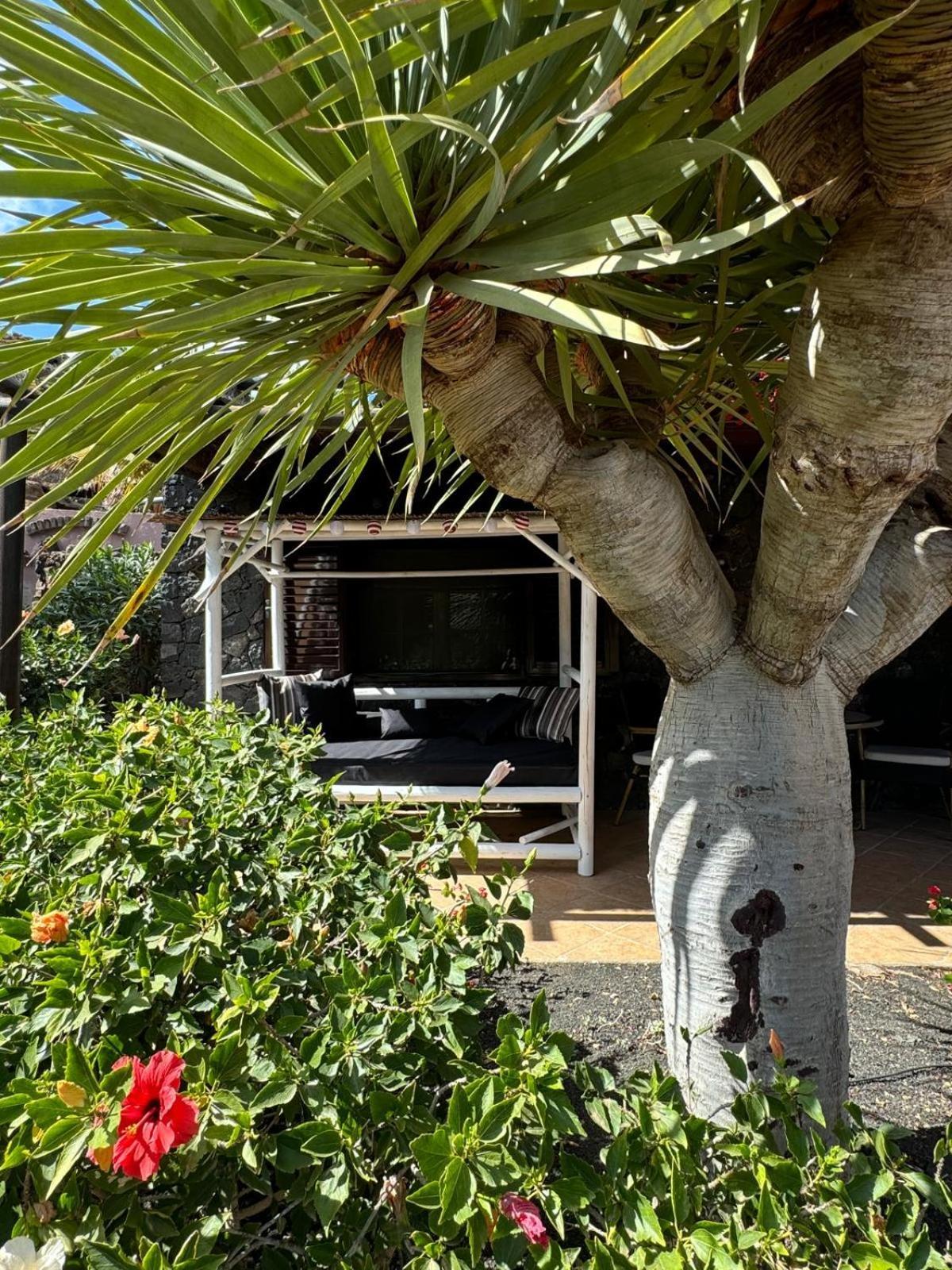 Castillo Lanzarote Villa Bailey - Luxury Villa - Pet Friendly With Heated Pool La Asomada  Екстер'єр фото