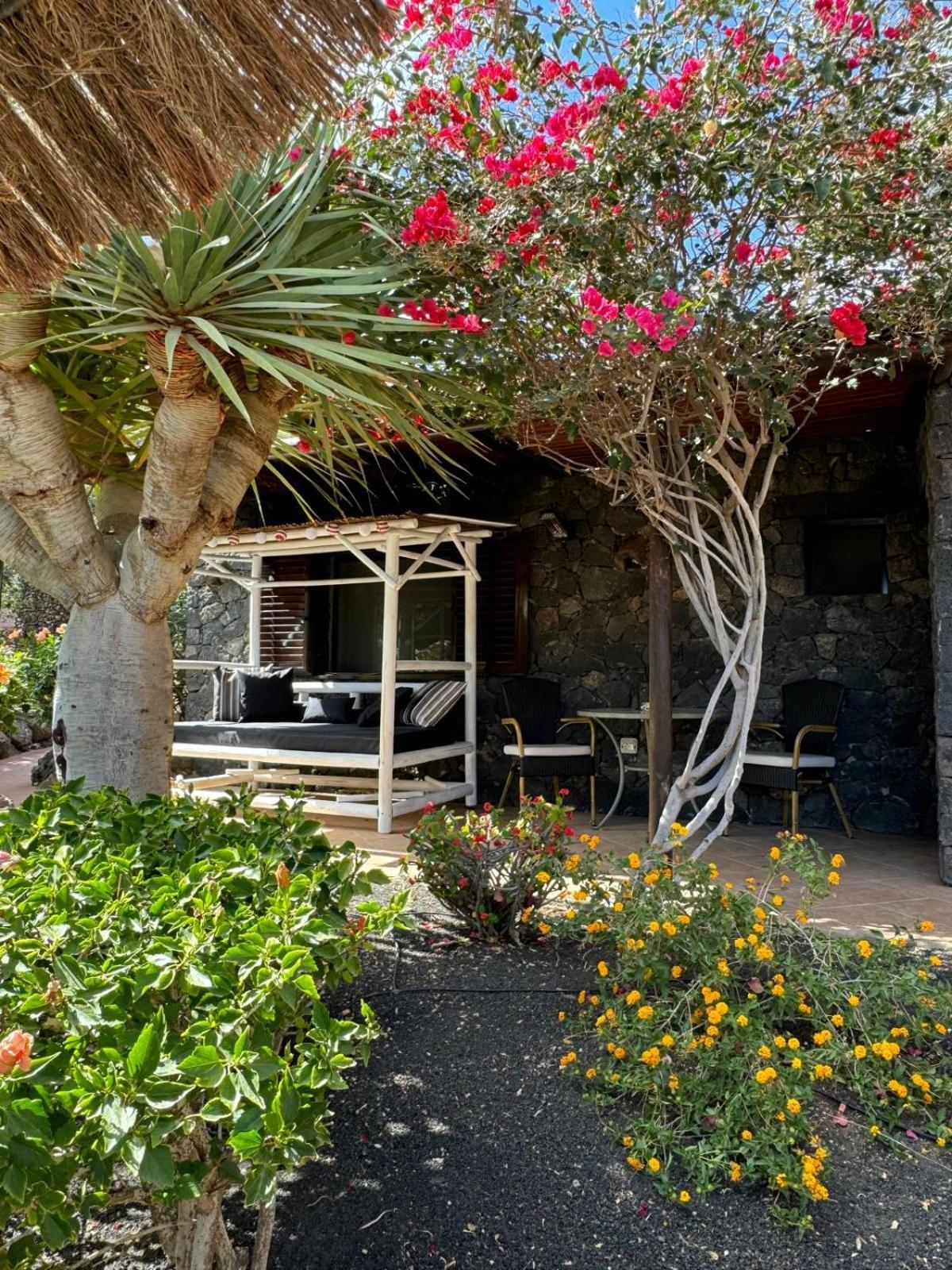 Castillo Lanzarote Villa Bailey - Luxury Villa - Pet Friendly With Heated Pool La Asomada  Екстер'єр фото